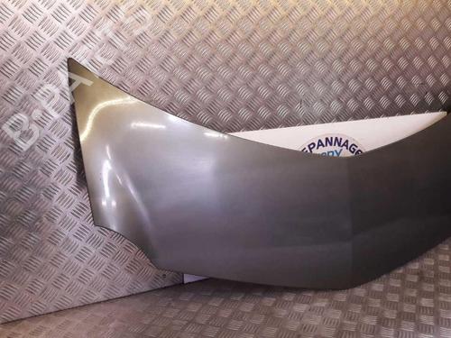 Used Hood Hood RENAULT MODUS / GRAND MODUS (F/JP0_) 1.4 (JP01, JP0J) (98 hp) 23725199 23725199