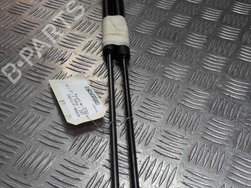 tailgate-lift-support-nissan-juke-f15-2010-2011-2012-2013-2014-2015-2016-2017-2018-2019-23716683 main image