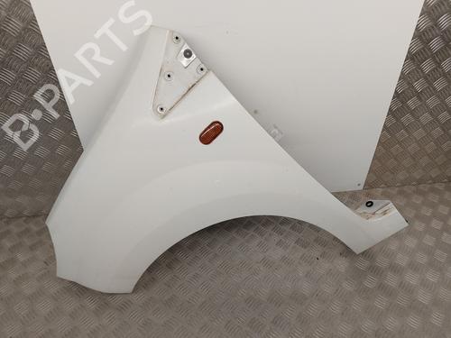 Left front fenders RENAULT TWINGO II (CN0_) 1.5 dCi (CN0E) | BP29864053C41