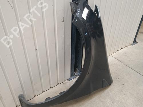 Left front fenders RENAULT CLIO III (BR0/1, CR0/1) 1.6 16V (BR09, BR0T, CR09, CR0T) | BP29222330C41 