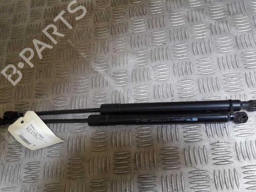 Tailgate lift support RENAULT CLIO IV (BH_) 0.9 TCe 90 (BHNF, BHMA, BHMH, BHJK, BHJR) | BP23734461C138 