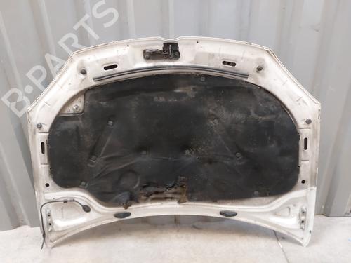 Hood VW GOLF V (1K1) 1.9 TDI | BP23746875C1 