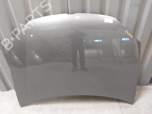 Hood VW GOLF V (1K1) 1.9 TDI | BP23744290C1 