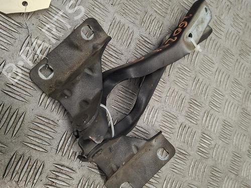 Used Hinge/Door check strap Hinge/Door check strap NISSAN QASHQAI I (J10, NJ10) 2.0 dCi (150 hp) 39434065 39434065