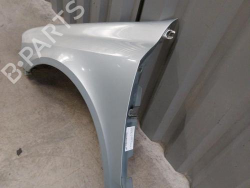 Used Left front fenders RENAULT LAGUNA II (BG0/1_) 1.9 dCi (BG08, BG0G) (120 hp) 23737226
