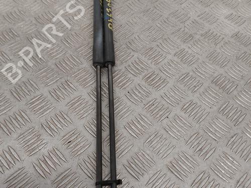 Tailgate lift support OPEL CORSA D (S07) 1.3 CDTI (L08, L68) | BP28163021C138 