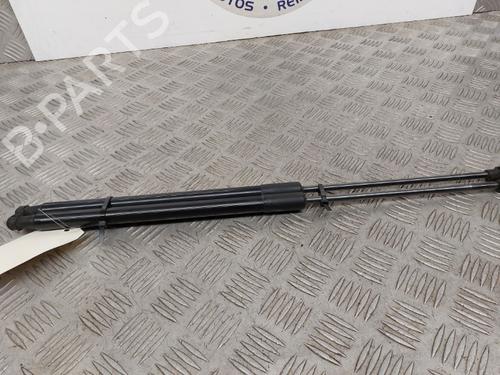 Used Tailgate lift support Tailgate lift support CITROËN C4 CACTUS 1.5 BlueHDi 100 (102 hp) 23746784 23746784