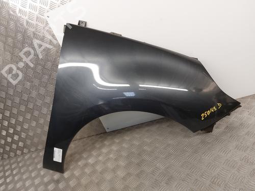 Right front fenders RENAULT SCÉNIC III (JZ0/1_) 1.5 dCi | BP26147998C42 
