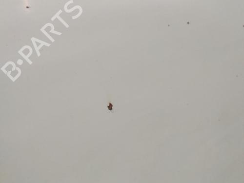 Hood CITROËN JUMPY I (U6U_) 1.9 TD | BP23658591C1 