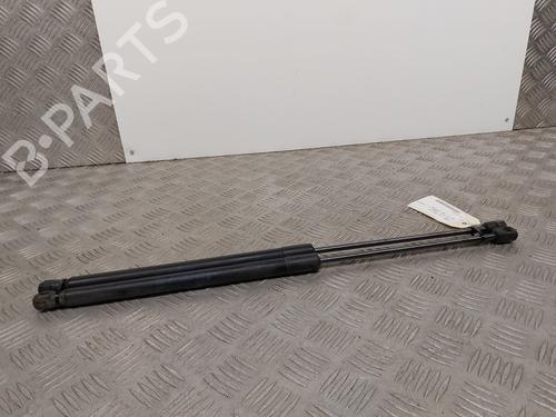 Tailgate lift support FORD FIESTA VI (CB1, CCN) 1.0 EcoBoost | BP25050436C138 