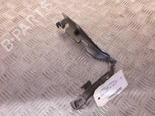Hinge/Door check strap CITROËN C3 I (FC_, FN_) 1.4 HDi | BP23717375C146 