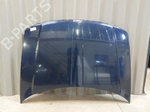 Hood JEEP GRAND CHEROKEE II (WJ, WG) 3.1 TD 4x4 | BP23659886C1 