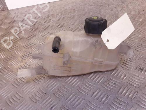 Used Expansion tank RENAULT MEGANE III Hatchback (BZ0/1_, B3_) 1.5 dCi (86 hp) 23715691