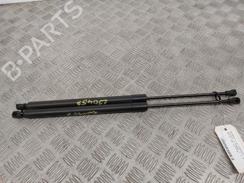 Used Tailgate lift support RENAULT SCÉNIC III (JZ0/1_) 1.5 dCi (110 hp) 30358466