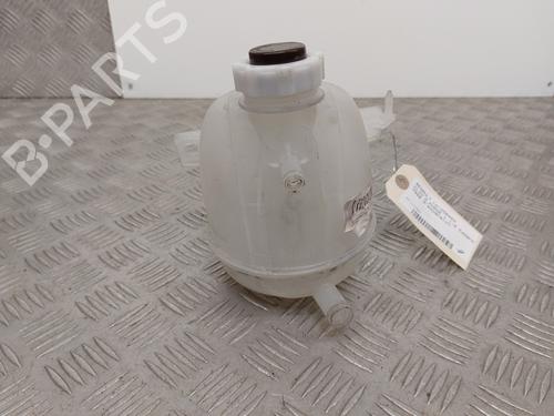 Used Expansion tank RENAULT CLIO II (BB_, CB_) 1.6 (B/CB0D, BB00) (90 hp) 28715719