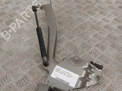 Charnière/Limiteur de porte RENAULT GRAND SCÉNIC III (JZ0/1_) 1.9 dCi (JZ0J, JZ0N, JZ1K, JZ1S) (131 hp) 23737271