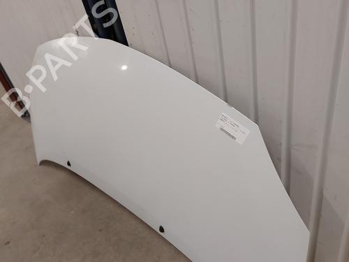 Motorhjelm RENAULT TWINGO II (CN0_) 1.5 dCi (CN0E) | BP29864063C1