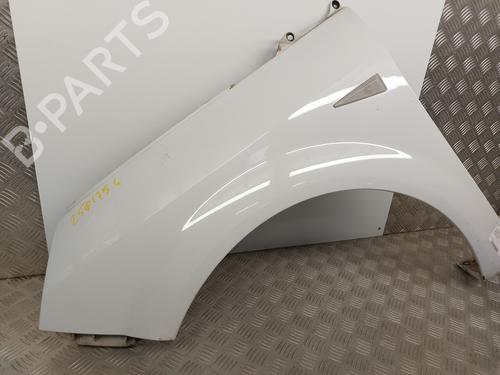 Left front fenders RENAULT SCÉNIC II (JM0/1_) 1.5 dCi (JM1E, JM16) | BP25916412C41 
