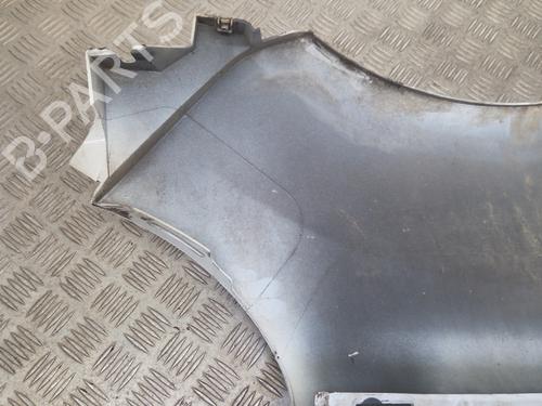 Used Left front fenders Left front fenders RENAULT KANGOO Express (FW0/1_) [2008-2026] 36004473 36004473
