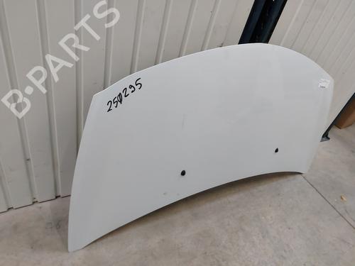 Hood RENAULT CLIO III (BR0/1, CR0/1) 1.5 dCi (C/BR0G, C/BR1G) | BP28130817C1 