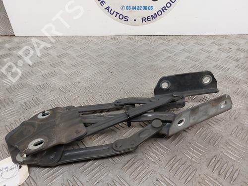 Hinge/Door check strap VW TOURAN (1T1, 1T2) 2.0 TDI 16V | BP23748135C146 