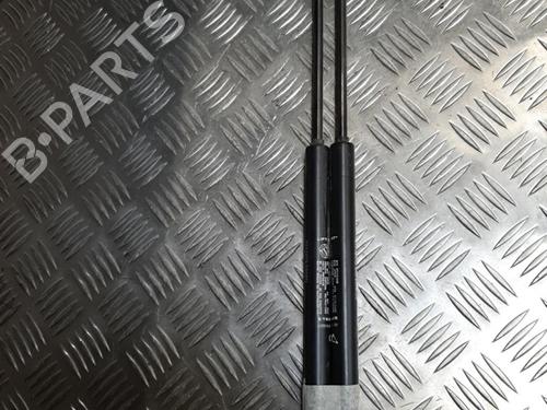 Used Tailgate lift support FIAT GRANDE PUNTO (199_) 1.3 D Multijet (75 hp) 23715033