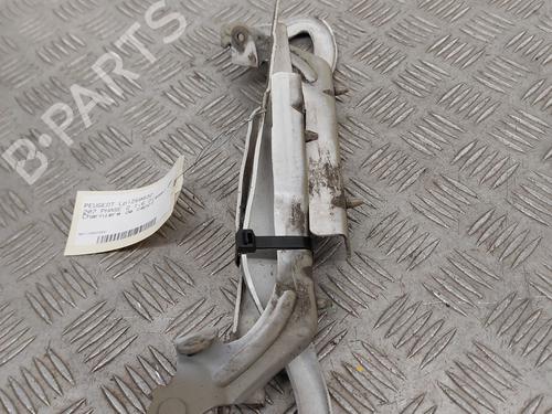 hingedoor-check-strap-peugeot-207-wa_-wc_-2006-2007-2008-2009-2010-2011-2012-2013-2014-2015-32240856 main image