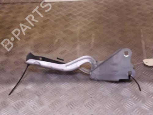 hingedoor-check-strap-renault-twingo-ii-cn0_-2007-23727723 main image