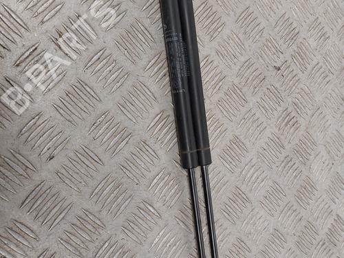 tailgate-lift-support-fiat-500-312_-2007-30936012 main image