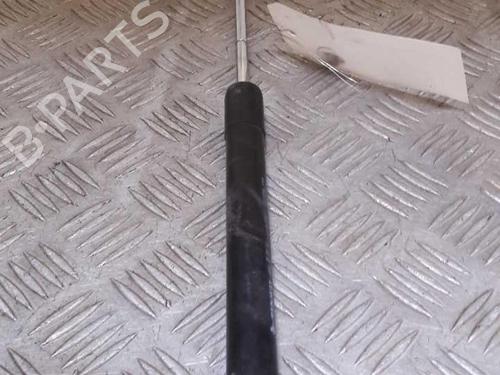 Hood lift support RENAULT CLIO IV (BH_) 0.9 TCe 90 (BHNF, BHMA, BHMH, BHJK, BHJR) | BP23734570C139 