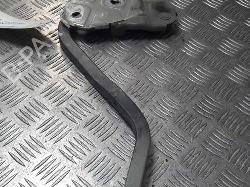 Hinge/Door check strap MINI MINI (R50, R53) Cooper S | BP23717291C146 