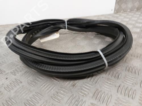 Gummiliste RENAULT MEGANE IV Hatchback (B9A/M/N_) 1.6 dCi 130 (B9A4) | BP31060337C142 