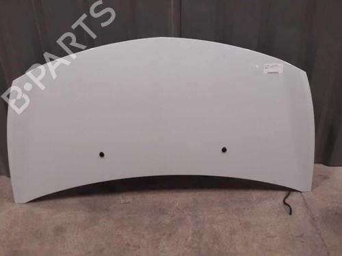 Used Hood RENAULT CLIO III (BR0/1, CR0/1) 1.5 dCi (C/BR0G, C/BR1G) (68 hp) 23657646