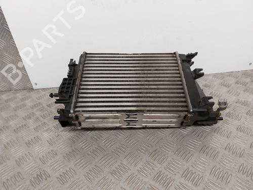 Ladeluftkühler RENAULT MEGANE IV Hatchback (B9A/M/N_) 1.6 dCi 130 (B9A4) | BP31092499M30 