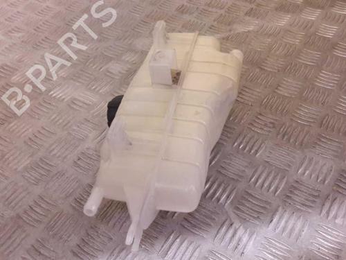Expansion tank RENAULT CLIO III (BR0/1, CR0/1) 1.2 16V (BR02, BR0J, BR11, CR02, CR0J, CR11) | BP23658082C120 