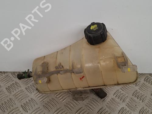 Expansion tank RENAULT KANGOO / GRAND KANGOO II (KW0/1_) 1.5 dCi 90 (KW05, KW08, KW0G, KW11) | BP29072761C120 