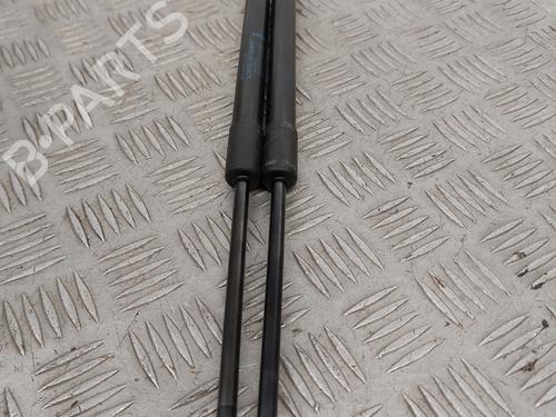 tailgate-lift-support-renault-twingo-ii-cn0_-2007-24113320 main image