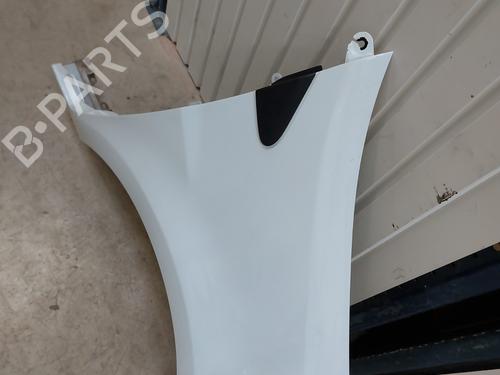Right front fenders RENAULT CLIO III (BR0/1, CR0/1) 1.5 dCi (C/BR0G, C/BR1G) | BP28130816C42 