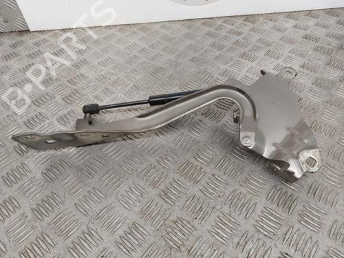 hingedoor-check-strap-renault-grand-scenic-iii-jz01_-2009-2010-2011-2012-2013-2014-2015-2016-23737271 main image