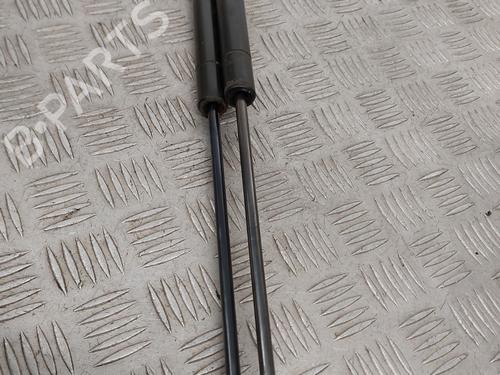 Tailgate lift support DODGE JOURNEY 2.0 CRD | BP30193004C138 