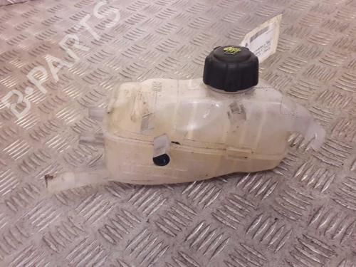 Expansion tank RENAULT SCÉNIC III (JZ0/1_) 2.0 16V (JZ0G, JZ0P, JZ1E, JZ1P) 217100005R