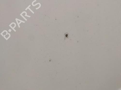 Right front door RENAULT KANGOO Express (FC0/1_) 1.5 dCi (FC07, FC1R) | BP23745927C3 
