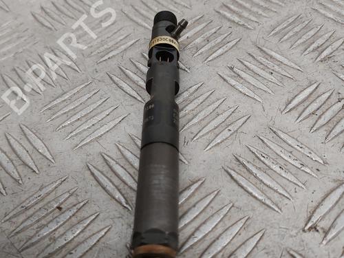 Injector RENAULT KANGOO Express (FC0/1_) 1.5 dCi (FC07, FC1R) | BP30174639M100