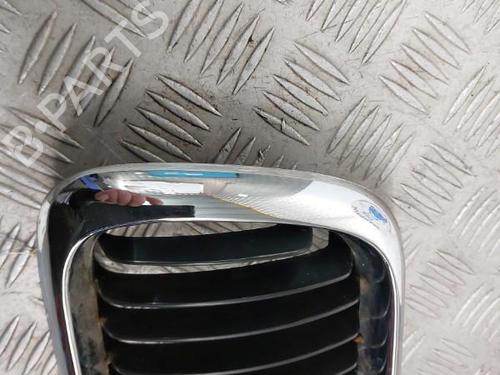 Grille BMW 3 (E36) 325 td | BP23659463C40 