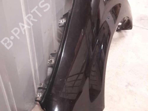 Left front fenders RENAULT SCÉNIC II (JM0/1_) 1.5 dCi (JM1E, JM16) | BP23718219C41 