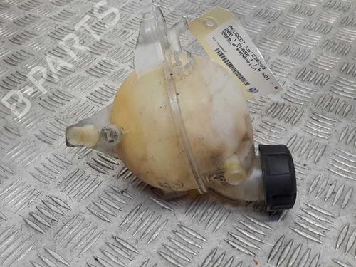 Used Expansion tank PEUGEOT 208 I (CA_, CC_) 1.6 HDi (92 hp) 23735115