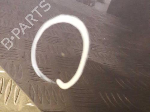 Hood RENAULT CLIO III (BR0/1, CR0/1) 1.2 16V (BR02, BR0J, BR11, CR02, CR0J, CR11) | BP23724075C1 