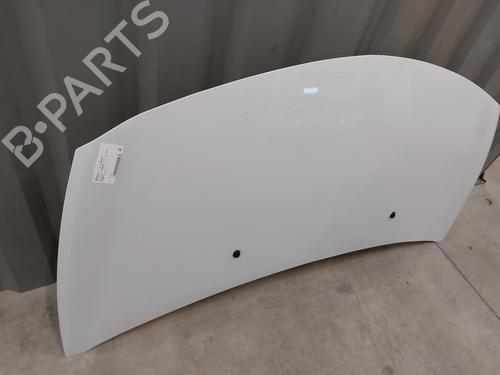 Hood RENAULT CLIO III (BR0/1, CR0/1) 1.5 dCi (C/BR0G, C/BR1G) | BP25259540C1 