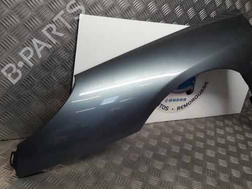 Left front fenders PEUGEOT 407 (6D_) 1.8 (6D6FZB) | BP23734861C41 