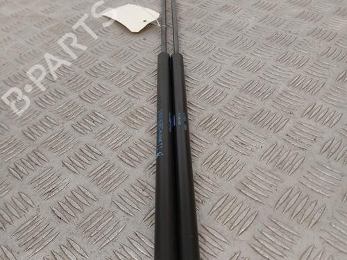 tailgate-lift-support-lancia-delta-iii-844_-2008-2009-2010-2011-2012-2013-2014-31918351 main image